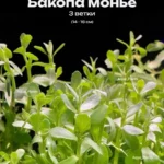 Бакопа Монье (3 ветки). Живые растения для аквариума