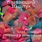 Филлантус плавающий (10шт). Живые растения для аквариума