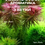 Лимнофила ароматика (3 ветки). Живое аквариумное растение